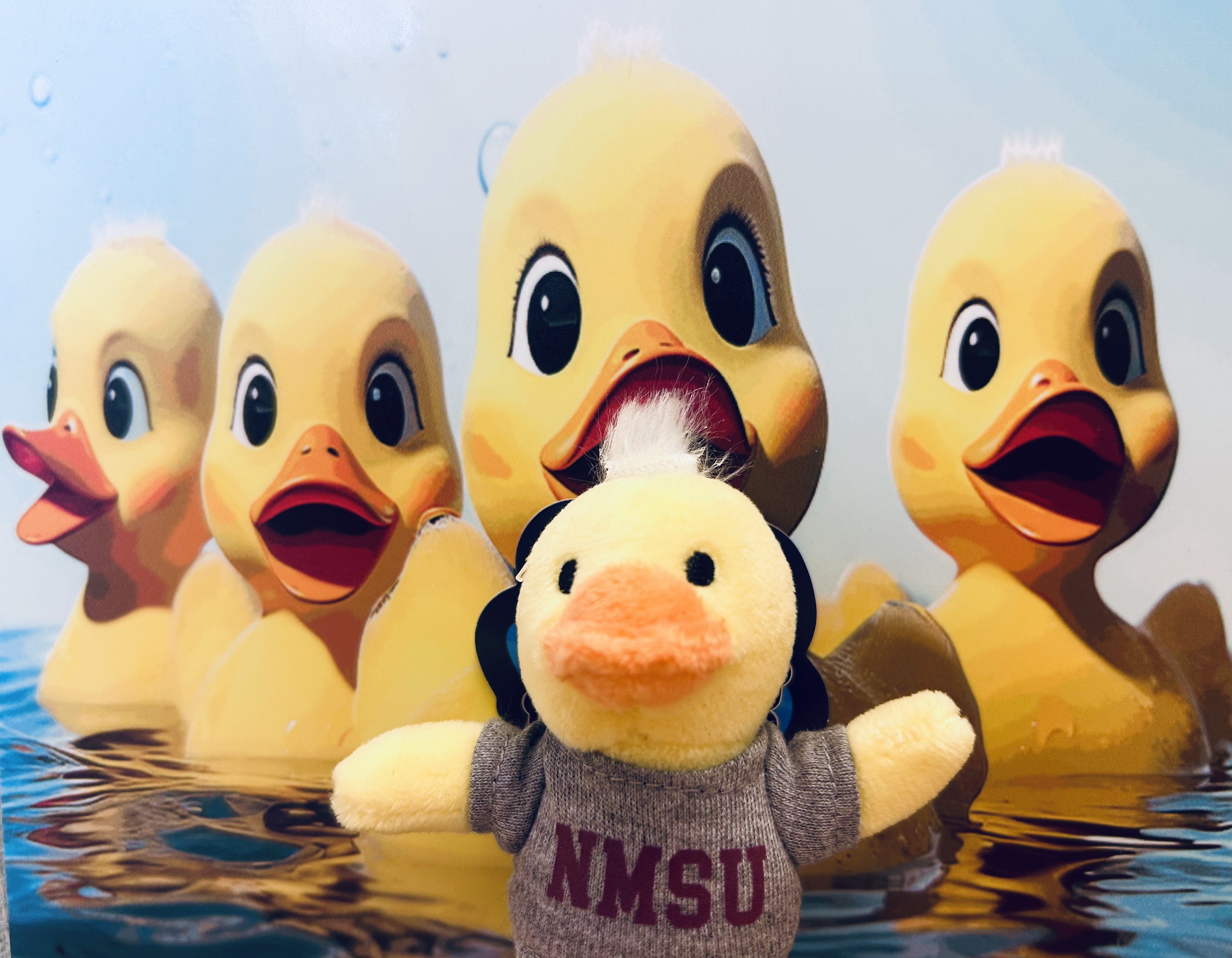 Ducks