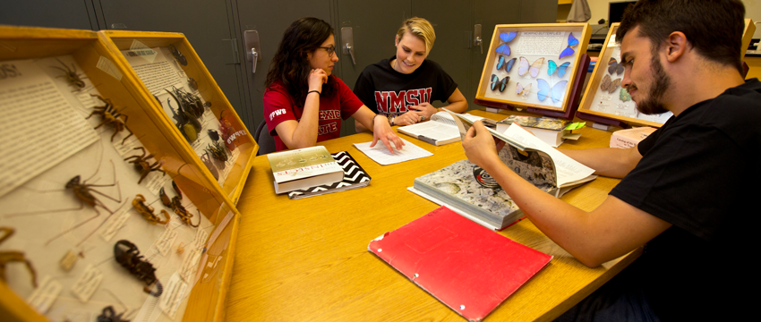 Entomology students studying together at desk